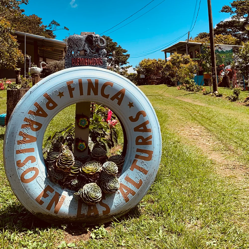 cf24693e70ad84b1832a6a1894c31aba